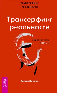 Вадим Зеланд Трансерфинг реальности. Обратная связь. Часть 1 обложка книги