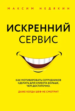 Максим Недякин Искренний сервис обложка книги