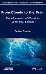 Celine Cherici - From Clouds to the Brain