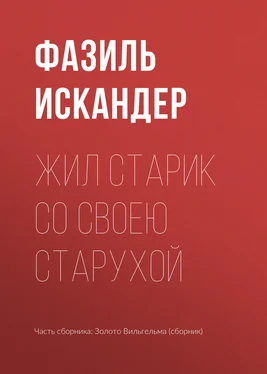 Фазиль Искандер Жил старик со своею старухой обложка книги