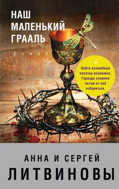 Анна и Сергей Литвиновы Наш маленький Грааль обложка книги