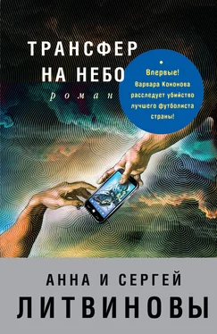 Анна и Сергей Литвиновы Трансфер на небо обложка книги