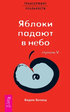 Вадим Зеланд Трансерфинг реальности. Ступень V: Яблоки падают в небо обложка книги