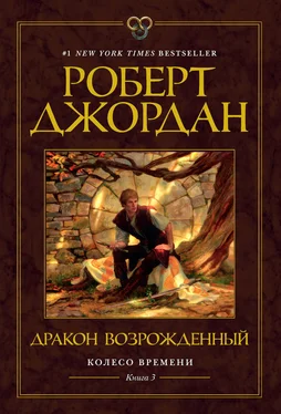 Роберт Джордан Дракон Возрожденный обложка книги