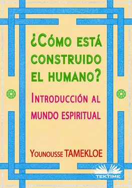 Younousse Tamekloe ¿Cómo Está Construido El Humano? обложка книги