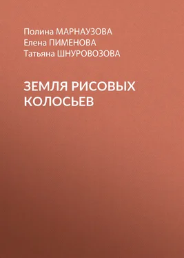 Елена Пименова Земля рисовых колосьев обложка книги