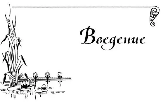 Кулинарные книги редко становятся настоящим учителем с которым хочется - фото 1