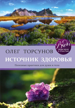 Олег Торсунов Источник здоровья. Полезные практики для души и тела обложка книги