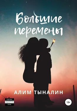 Алим Тыналин Большие перемены обложка книги