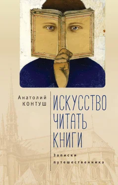 Анатолий Контуш Искусство читать книги. Записки путешественника обложка книги