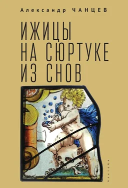 Александр Чанцев Ижицы на сюртуке из снов: книжная пятилетка обложка книги
