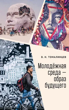 Владимир Томалинцев Молодёжная среда – образ будущего обложка книги