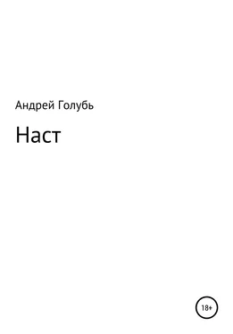 Андрей Голубь Наст обложка книги