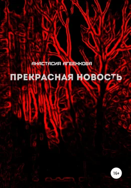 Анастасия Агеенкова Прекрасная новость обложка книги