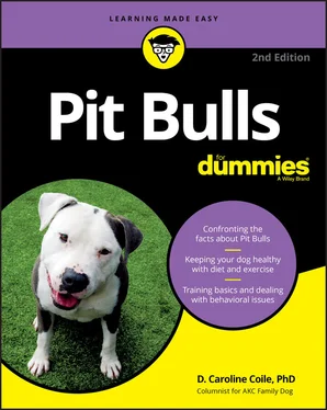 D. Caroline Coile Pit Bulls For Dummies обложка книги