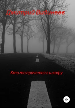 Дмитрий Видинеев Кто-то прячется в шкафу обложка книги