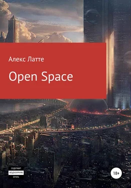 Алекс Латте Open Space обложка книги