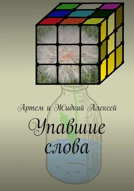 Артём и Жидкий Алексей Упавшие слова обложка книги