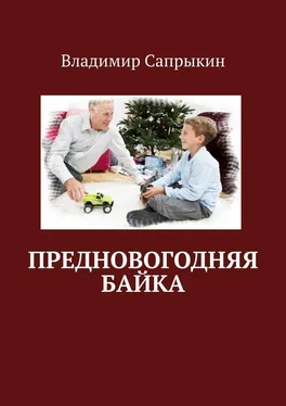Владимир Сапрыкин Предновогодняя байка обложка книги