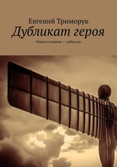 Евгений Триморук - Дубликат героя. Первое издание – набросок