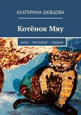 Екатерина Шевцова Котёнок Мяу. Купи – Прочитай – Подари обложка книги