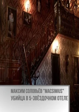 Максим Соловьёв «Macsimius» Убийца в 5-звёздочном отеле обложка книги