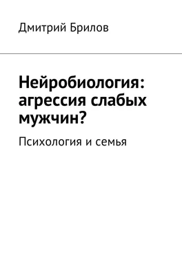 Дмитрий Брилов Нейробиология: агрессия слабых мужчин? Психология и семья обложка книги