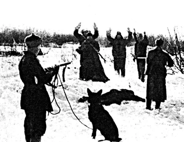 Группа нарушителей задержана В послевоенное время в 1946 году части - фото 10