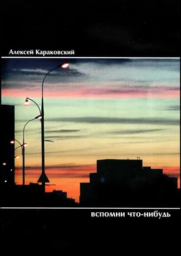 Алексей Караковский Вспомни что-нибудь. Стихотворения обложка книги