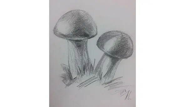 рисунок Лукьяновой Елены Укрыться срочно убежать Из леса мне охота Бегу - фото 24