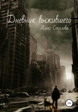 Алекс Соколова Дневник выжившего обложка книги