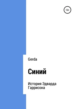 Gerda Синий обложка книги