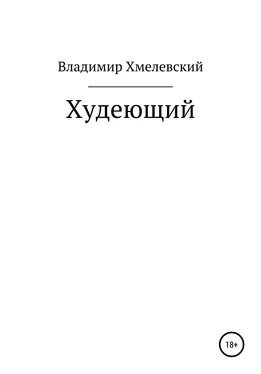 Владимир Хмелевский Худеющий обложка книги