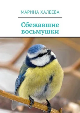 Марина Халеева Сбежавшие восьмушки обложка книги