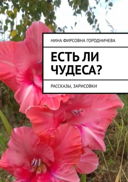 Нина Городничева Есть ли чудеса? Рассказы, зарисовки обложка книги