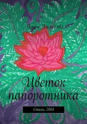 Маша Халикова - Цветок папоротника. Стихи, 2014