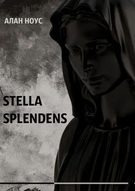 Алан Ноус Stella Splendens обложка книги