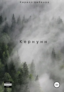 Кирилл Шабанов Кернунн обложка книги
