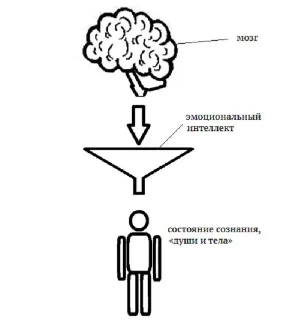 Рисунок 41Рабочая схема энергоинформационных процессов человека Основные - фото 1