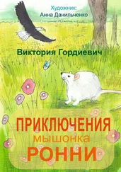 Виктория Гордиевич - Приключения мышонка Ронни. Лучший друг тебя не бросит…