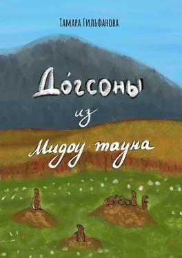 Тамара Гильфанова Догсоны из Мидоу-тауна обложка книги