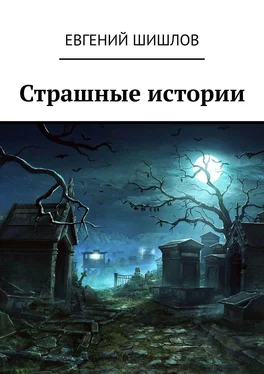 Евгений Шишлов Страшные истории обложка книги