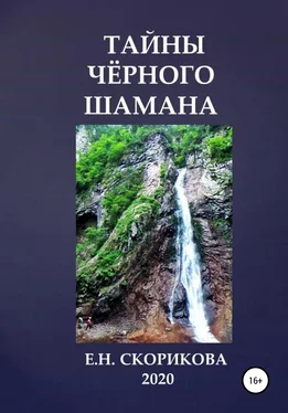 Елена Скорикова Тайны Чёрного Шамана обложка книги