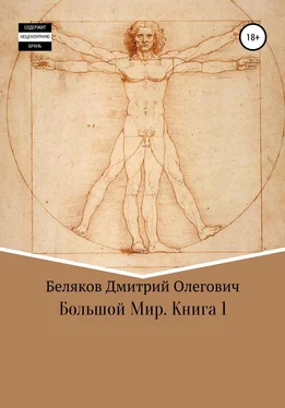 Дмитрий Беляков Большой мир. Книга 1 обложка книги