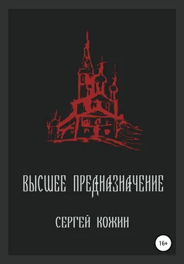 Сергей Кожин Высшее предназначение обложка книги