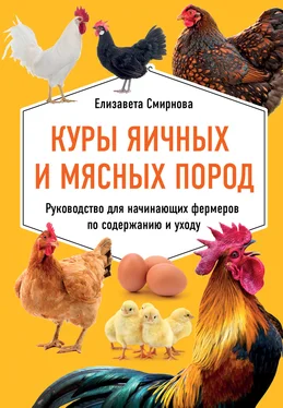 Елизавета Смирнова Куры яичных и мясных пород. Руководство для начинающих фермеров по содержанию и уходу обложка книги