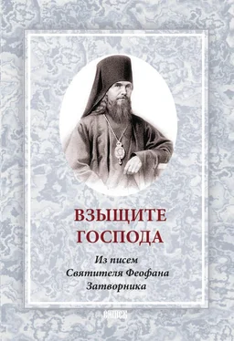 Сборник Взыщите Господа. Из писем Святителя Феофана Затворника обложка книги