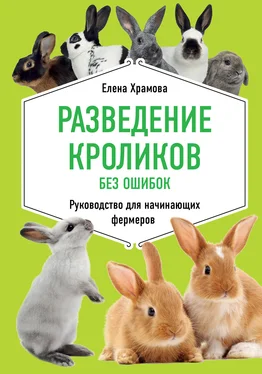 Елена Храмова Разведение кроликов без ошибок. Руководство для начинающих фермеров обложка книги