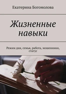 Екатерина Богомолова Жизненные навыки. Режим дня, семья, работа, мошенники, статус обложка книги