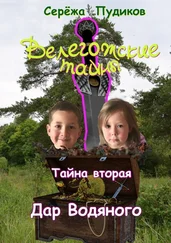 Серёжа Пудиков - Велегожские тайны. Тайна Вторая. Дар Водяного